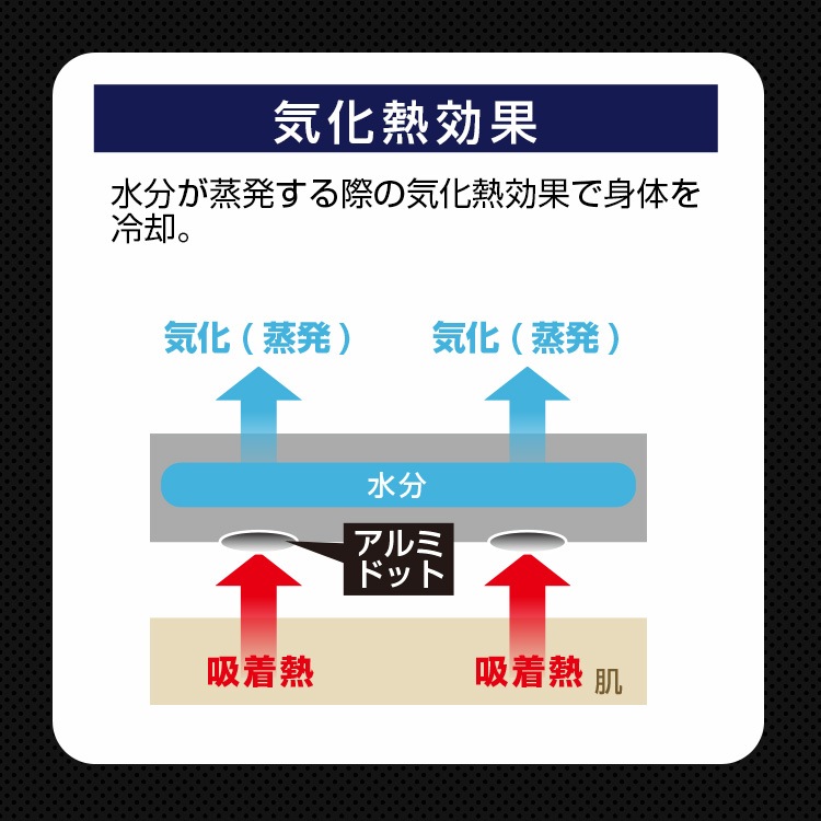 BR-609 �䴶������ɥå�T����ġ���¦�Υ���ߥɥåȤǵ���Ǯ�Ų��ȵ���Ǯ���̤��ܿ��䴶�Ǻ�Υȥ�ץ���̤��Τ���ѡ���