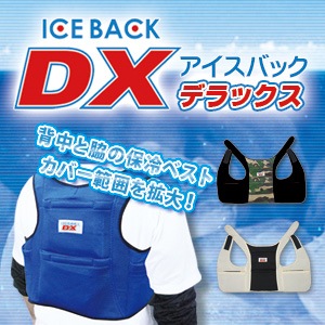 BR-551 �������Хå�(R) DX�ʥǥ�å����ˡʥ���������4���ա�