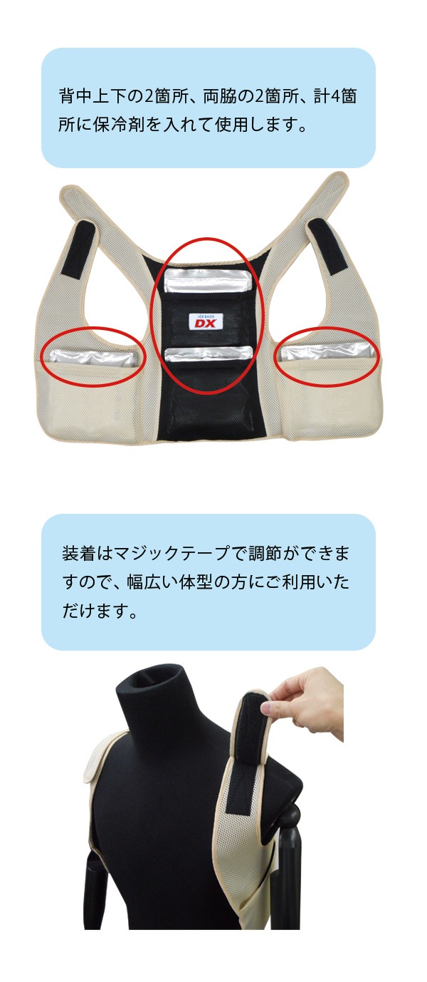 BR-551 �������Хå�(R) DX�ʥǥ�å����ˡʥ���������4���ա�