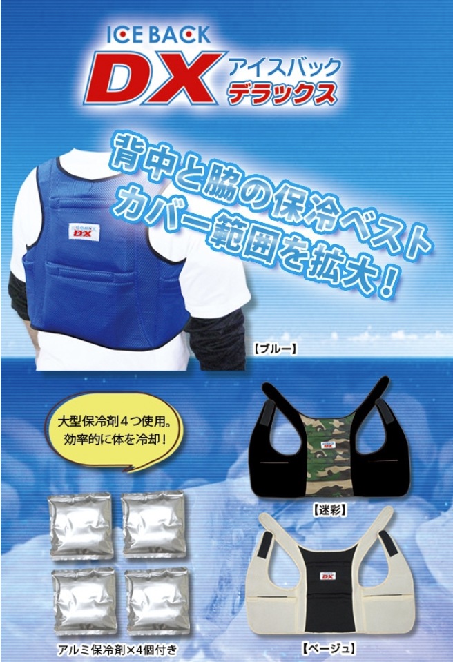 BR-551 �������Хå�(R) DX�ʥǥ�å����ˡʥ���������4���ա�