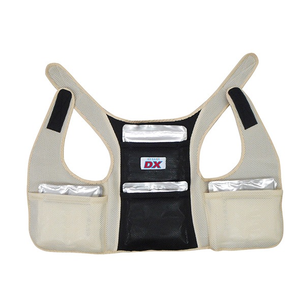 BR-551 �������Хå�(R) DX�ʥǥ�å����ˡʥ���������4���ա�