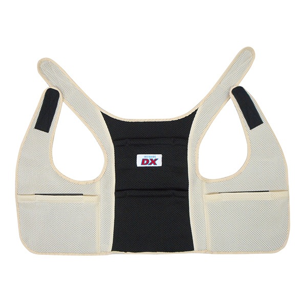 BR-551 �������Хå�(R) DX�ʥǥ�å����ˡʥ���������4���ա�