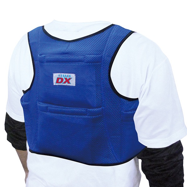 BR-551 �������Хå�(R) DX�ʥǥ�å����ˡʥ���������4���ա�