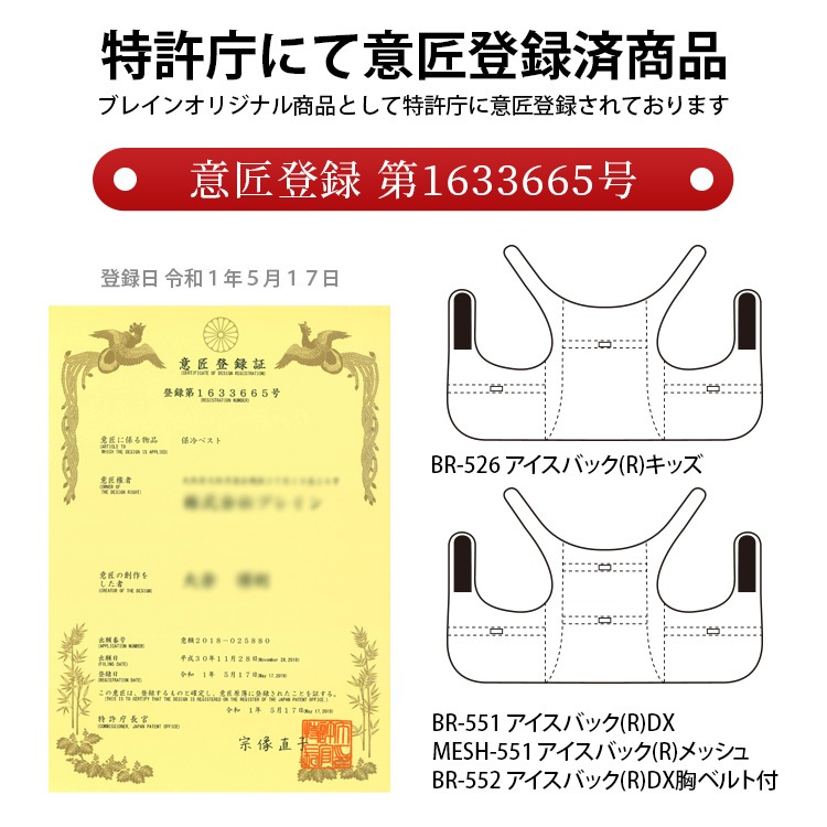 BR-552 �������Хå�(R)DX���٥���դ�