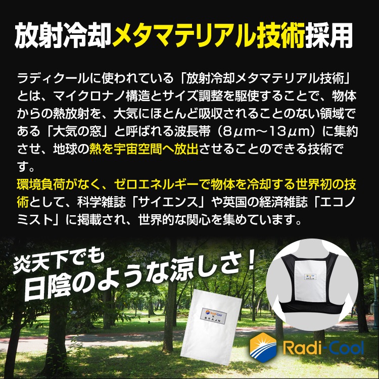 BR-R544 Хå(R)ݡ ٥աϥǥ륫Сդ(ޡ1,ޡ2) -9.8ä