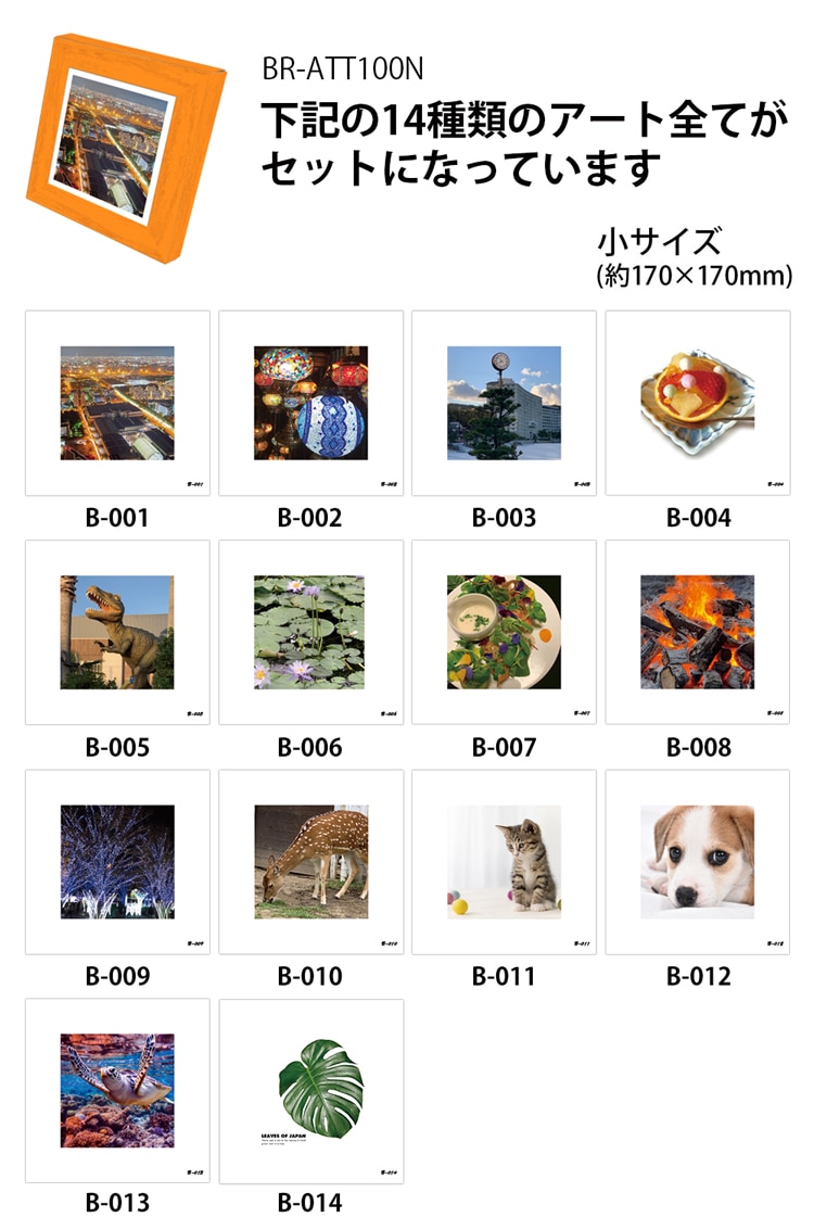 BR-ATT100N ���륢���� ����ѥȥ���5��ʬ+�����ȥݥ�����14�糧�å� (W����ߥѥå�����ŸǺ�+������+�����������դ�) ������