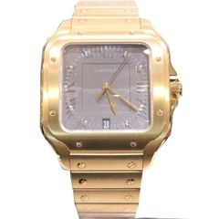 Cartier(カルティエ)/サントス ドゥ カルティエ/WGSA0101/グレー/2024.9月/未調整/完品/未使用/W-059（銀座店）