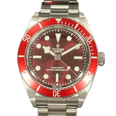 TUDOR（チューダー）ブラックベイ58 7939A1A0RU 中古品 完品 AE-183（中野店）
