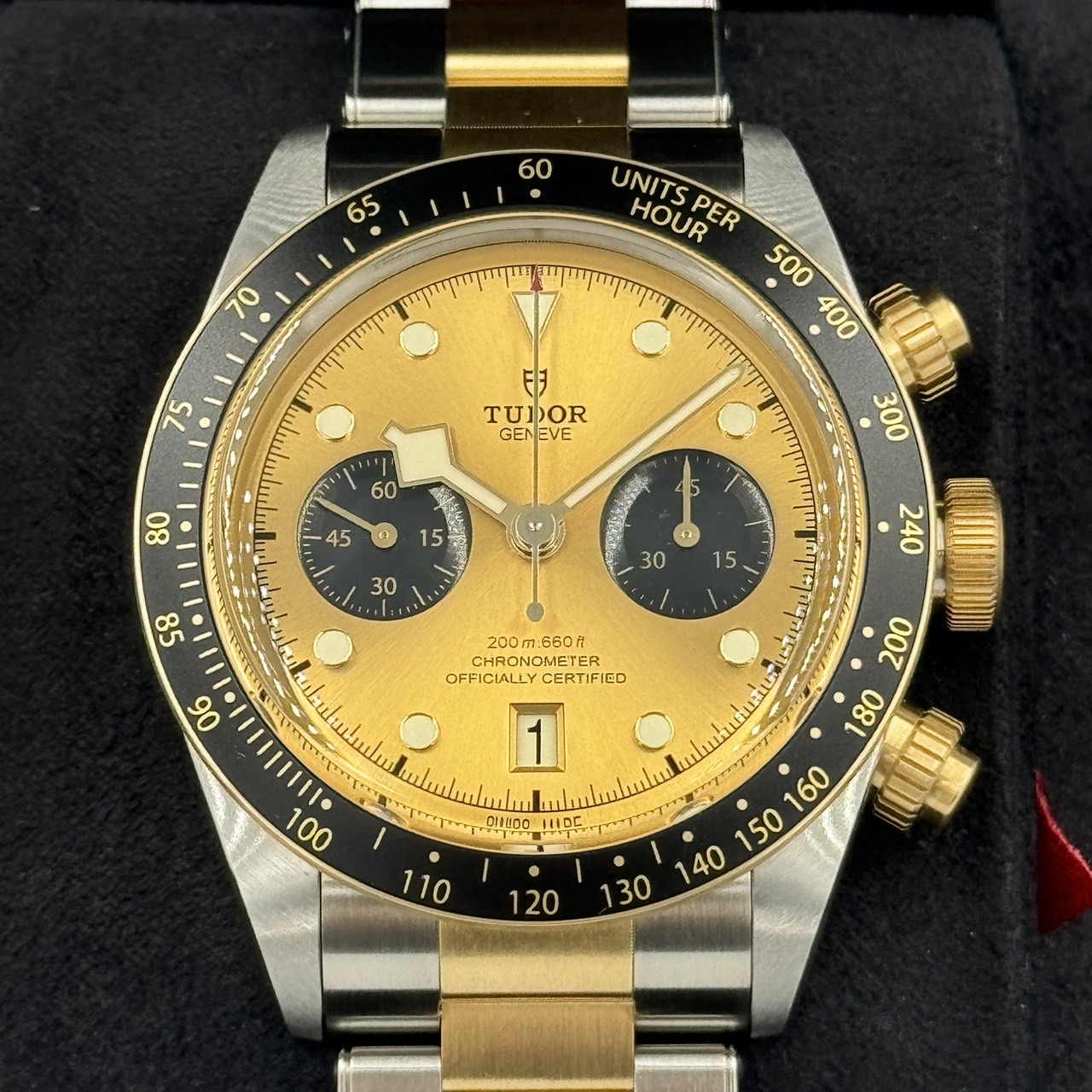 TUDOR(���塼����)�֥�å��٥������� S��G 79363N �����ѥ� SS��YG ̤���� ���ض�Ź CAT-153