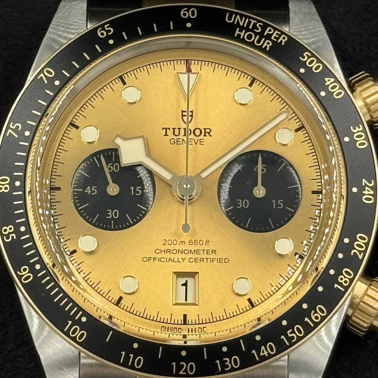 TUDOR(���塼����)�֥�å��٥������� S��G 79363N �����ѥ� SS��YG ̤���� ���ض�Ź CAT-153