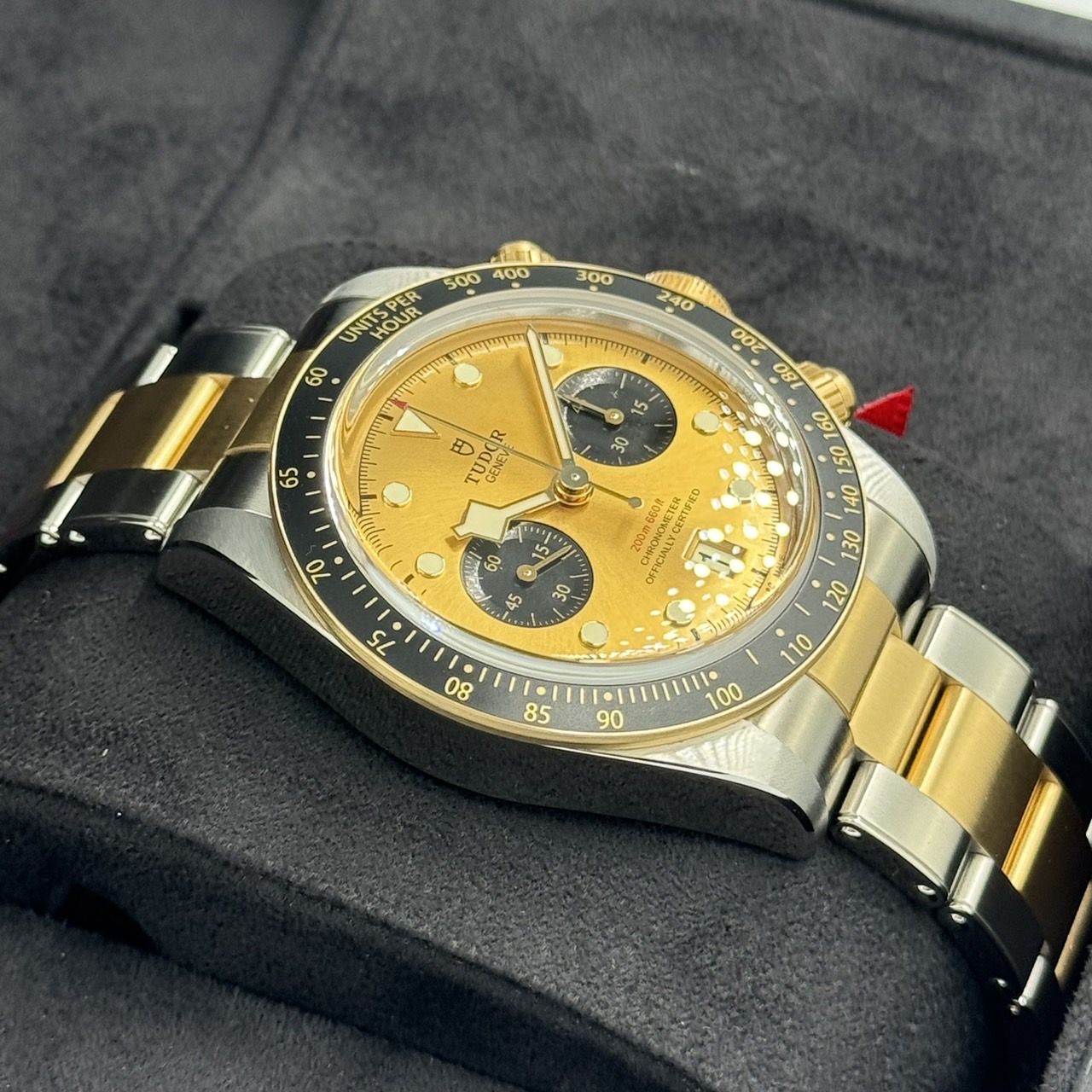 TUDOR(���塼����)�֥�å��٥������� S��G 79363N �����ѥ� SS��YG ̤���� ���ض�Ź CAT-153