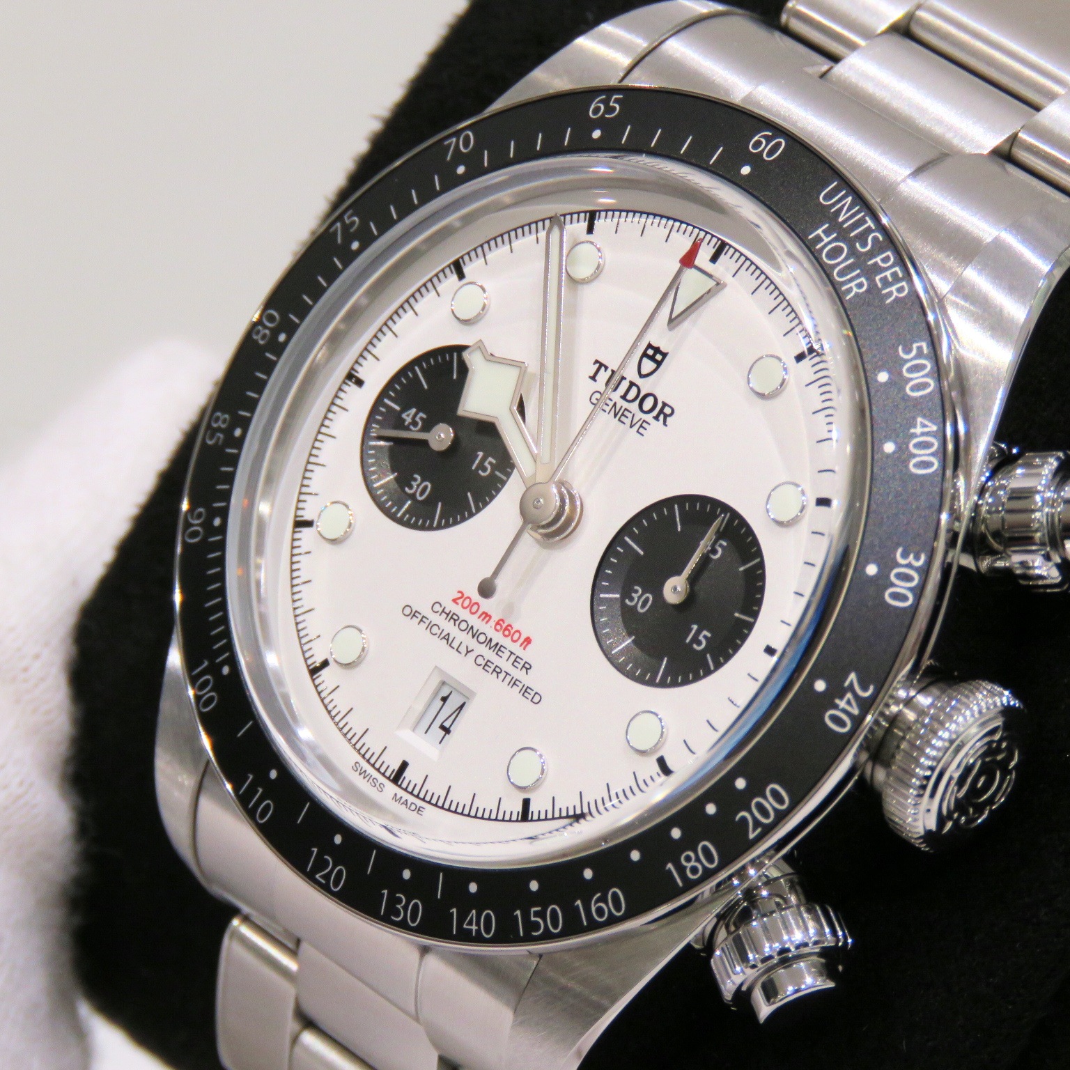 TUDOR (���塼����) �֥�å��٥� ������ �ӻ��� 79360N �ۥ磻�� SS ��°�ʴ��� ̤���� Z-078 ���Ź