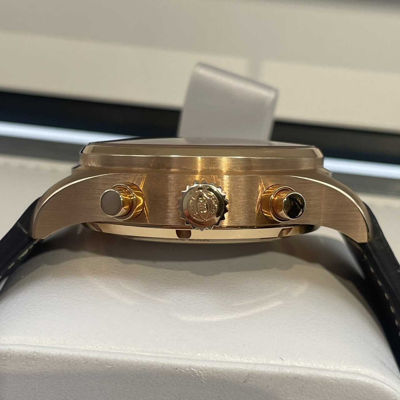 IWC(�������֥�塼����) �ѥ����åȡ������å����ѡ��ڥ��奢�롦���������������Υ���աȥץƥ����ץ�󥹡� IW392202 �֥롼 SA-49 ���ض�Ź