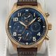 IWC(�������֥�塼����) �ѥ����åȡ������å����ѡ��ڥ��奢�롦���������������Υ���աȥץƥ����ץ�󥹡� IW392202 �֥롼 SA-49 ���ض�Ź