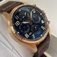 IWC(�������֥�塼����) �ѥ����åȡ������å����ѡ��ڥ��奢�롦���������������Υ���աȥץƥ����ץ�󥹡� IW392202 �֥롼 SA-49 ���ض�Ź