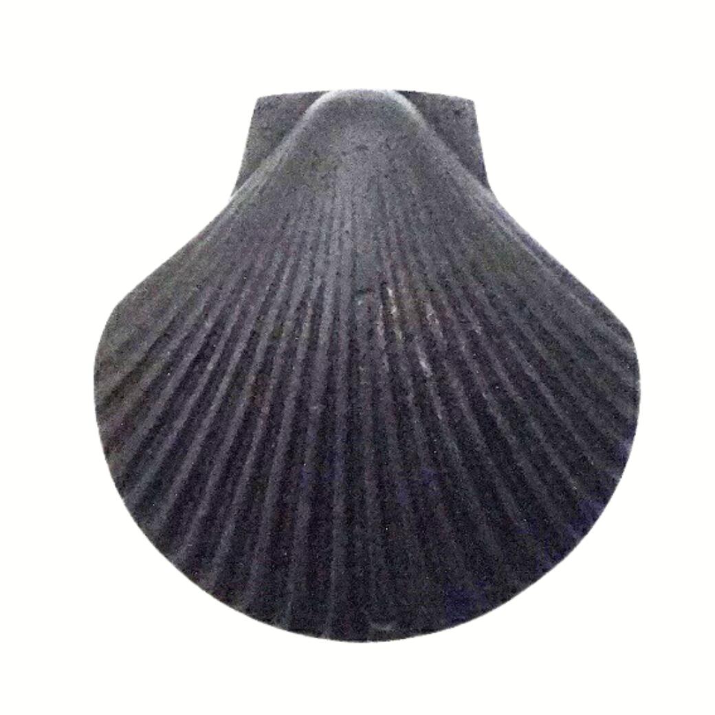������ �Ĥޤ߼�ü� ��� N122 ����4����