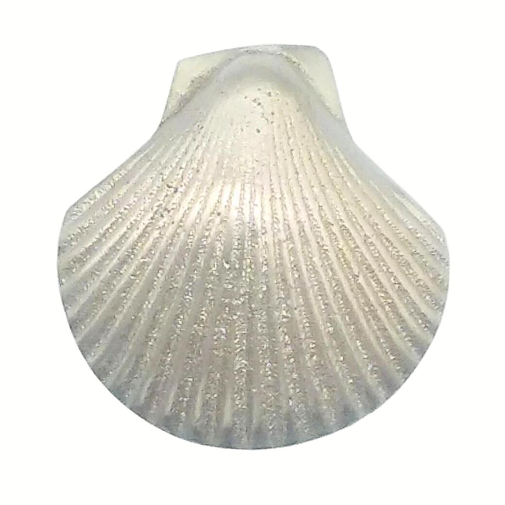 ������ �Ĥޤ߼�ü� ��� N122 ����4����
