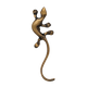 ���� ��ü� ��� N171R����4����