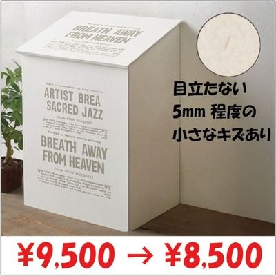 【45L】フタ付きダストボックス(小さな傷あり）
