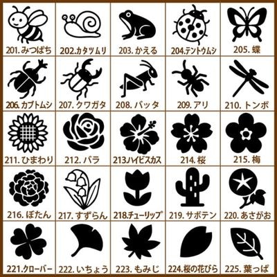 ��Ģ������������ ������� 3������ ��25���� (�֡�������)