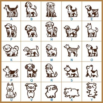 ���襤��ưʪ �������A