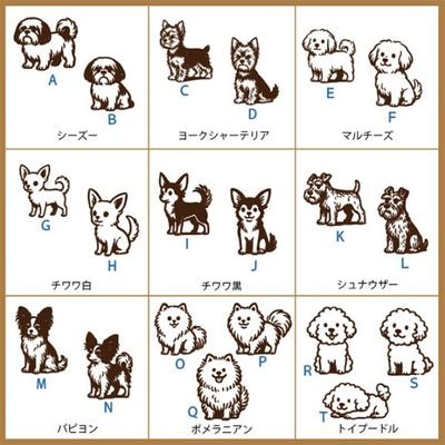 ���襤�� ��������� No.1