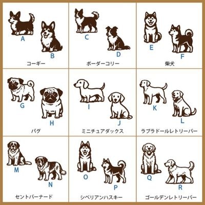 ���襤�� ��������� No.2