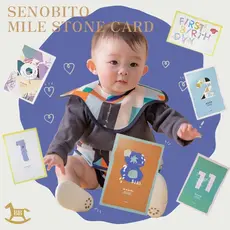 SENOBITO ���Υӥ� MILE STONE CARD ���𥫡��� 