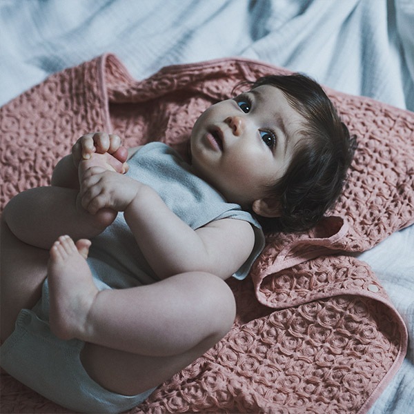 MARLMARL (ޡޡ)  ա  / ץꥳå