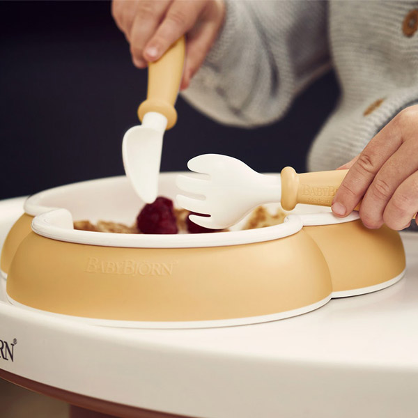 BabyBjorn �٥ӡ��ӥ��� �٥ӡ��ǥ��ʡ����å� / �ѥ�������������