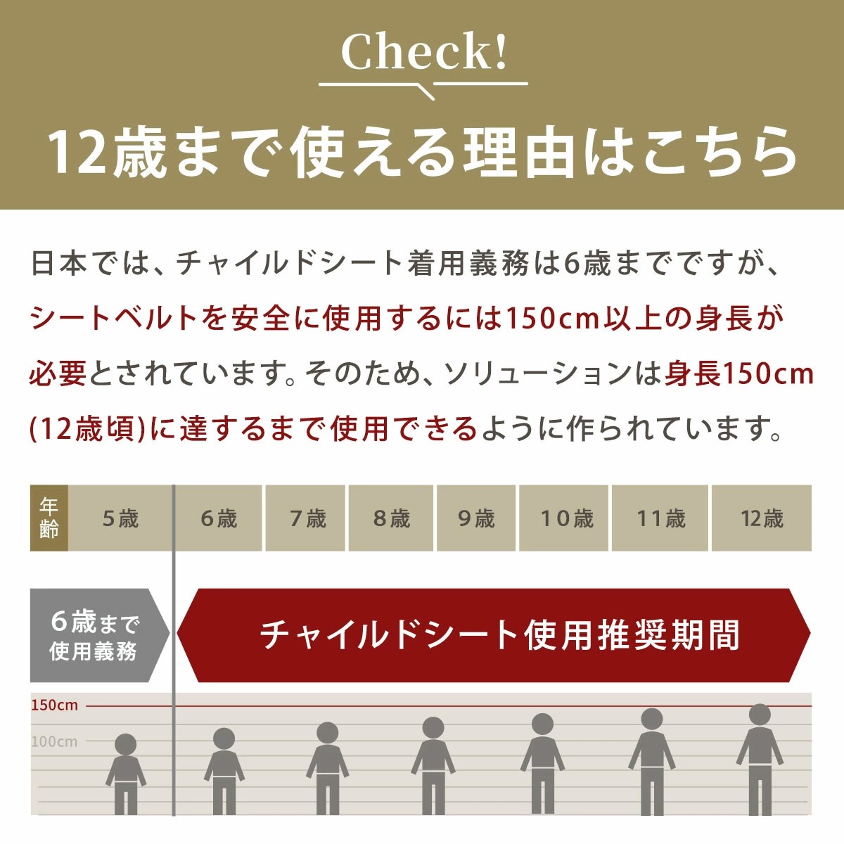 cybex �����٥å��� �ѥ饹G3 ���������� / �������ɥ١�����ץ饹