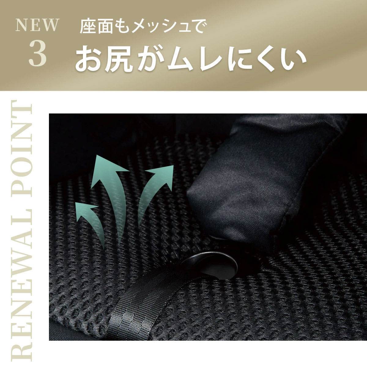 cybex ٥å ꥪ ܥ / Хۥ磻 2025ǯǿǥ