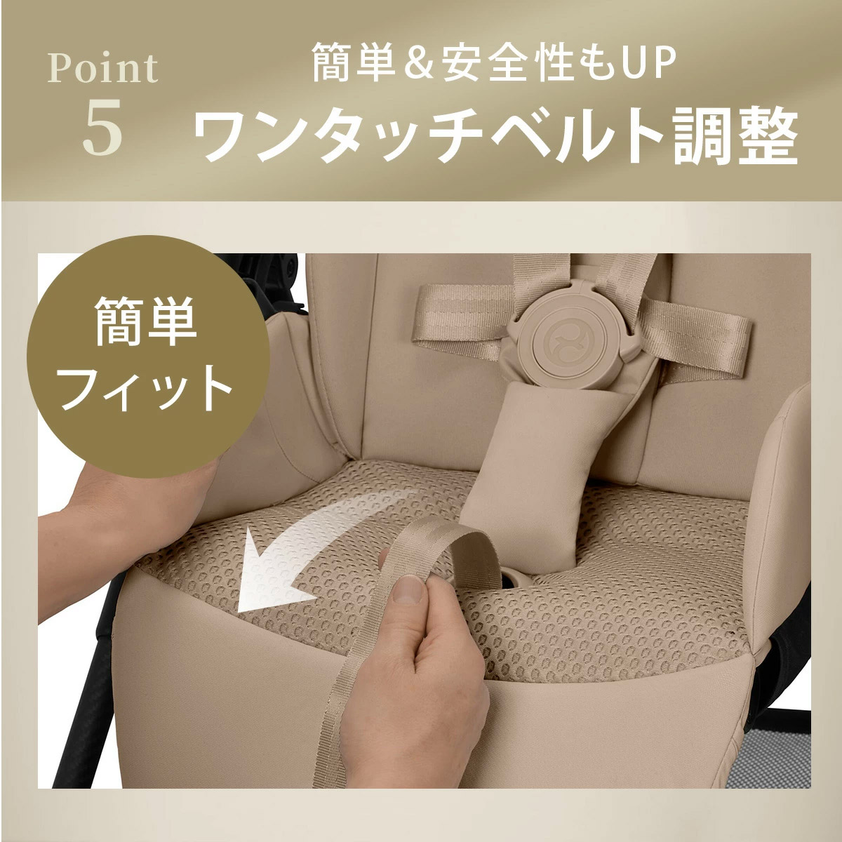 cybex ٥å ꥪ ܥ / Хۥ磻 2025ǯǿǥ