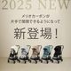 cybex ٥å ꥪ ܥ / Хۥ磻 2025ǯǿǥ