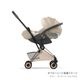 cybex �����٥å��� ���� �������� ���������� �����ץ���