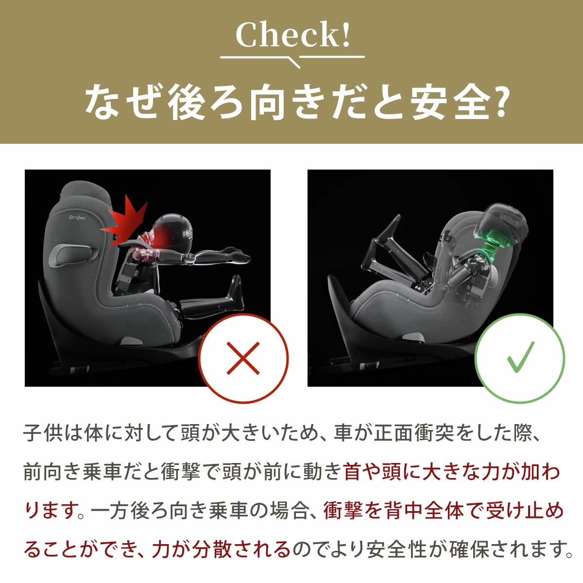 cybex �����٥å��� ��������Gi  ���������� / �ࡼ��֥�å��ץ饹 JP