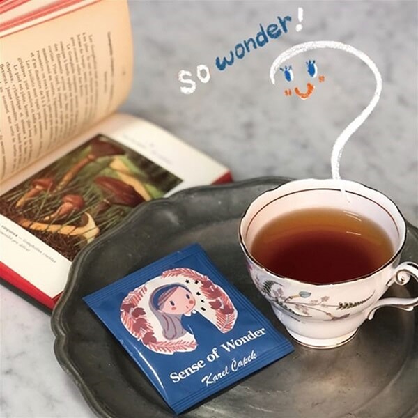 カレルチャペック紅茶店（Karel Capek） ティーバッグ5Pセット ノン