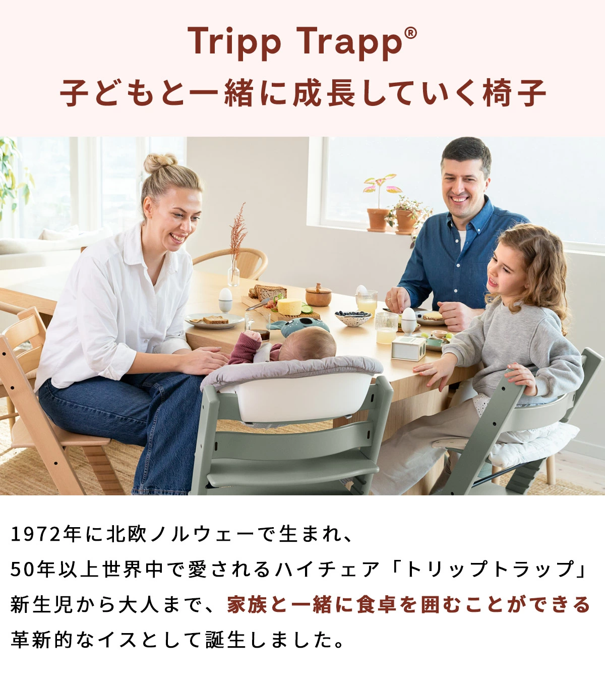 STOKKE ���ȥå� �ڥ��åȡ� �ȥ�åץȥ�å� �� �٥ӡ����å� �� �˥塼�ܡ��󥻥å� / �ʥ�����