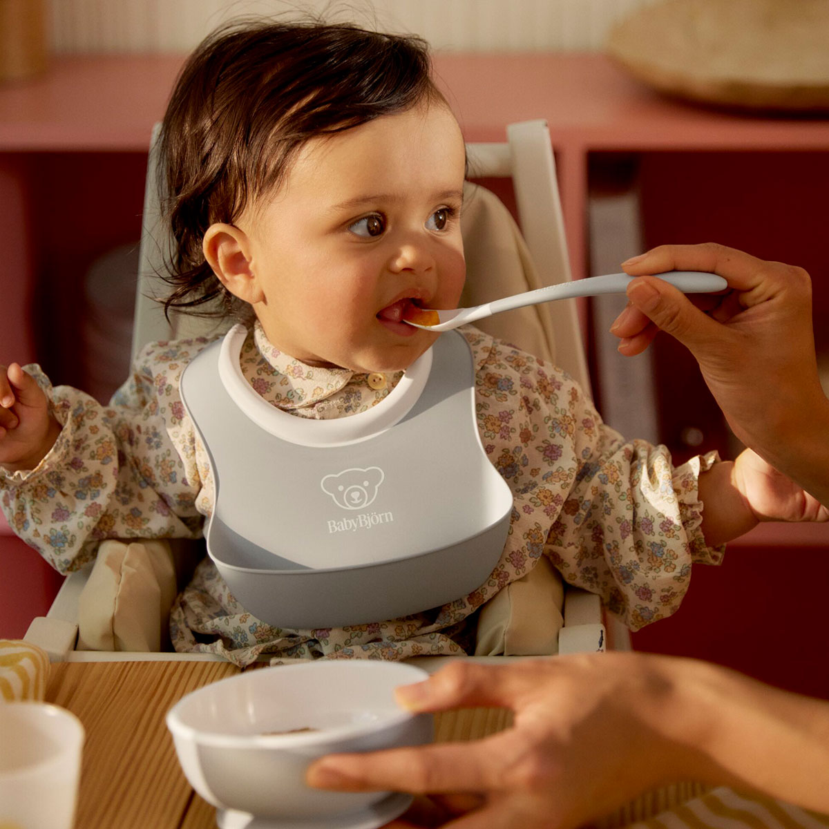 BabyBjorn ٥ӡӥ ٥ӡեǥ󥰥å / 졼