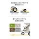 ��10��ܺ����缡ȯ����AirBuggy COCO �ץ�ߥ���ǥ� �ե���С��� / ���
