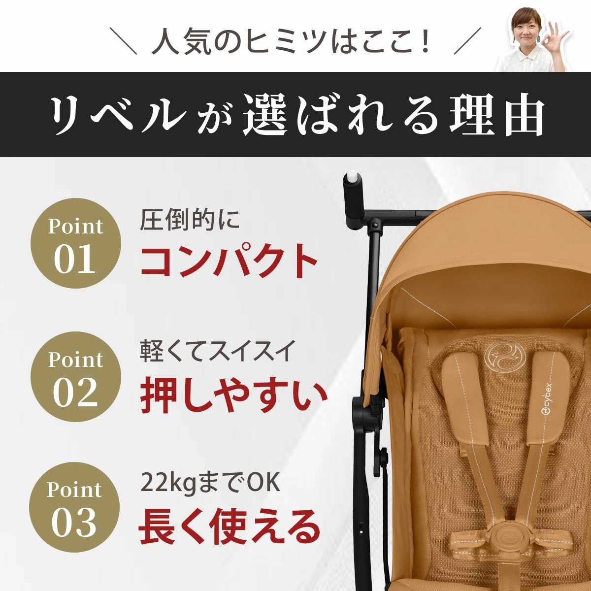 cybex サイベックス リベル ベビーカー バンパーバー セット