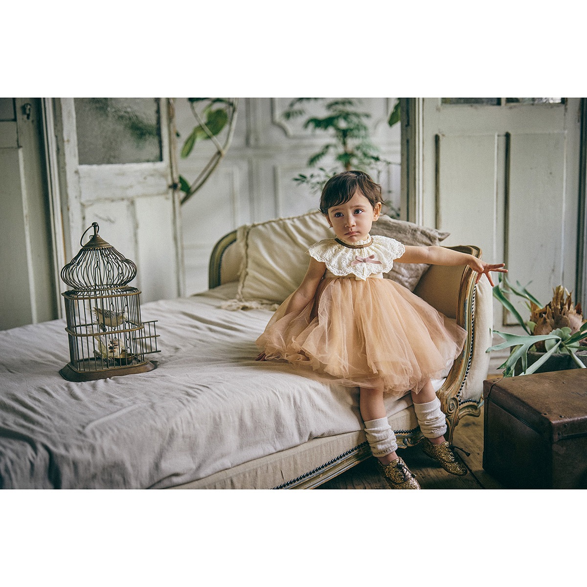 MARLMARL �ޡ���ޡ��� �ӥ� �ɥ���� / �����ܥ꡼�ե�