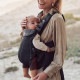 BabyBjorn ٥ӡӥ ٥ӡꥢ ϡˡ HARMONY / ֥å