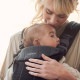 BabyBjorn ٥ӡӥ ٥ӡꥢ ϡˡ HARMONY / ֥å
