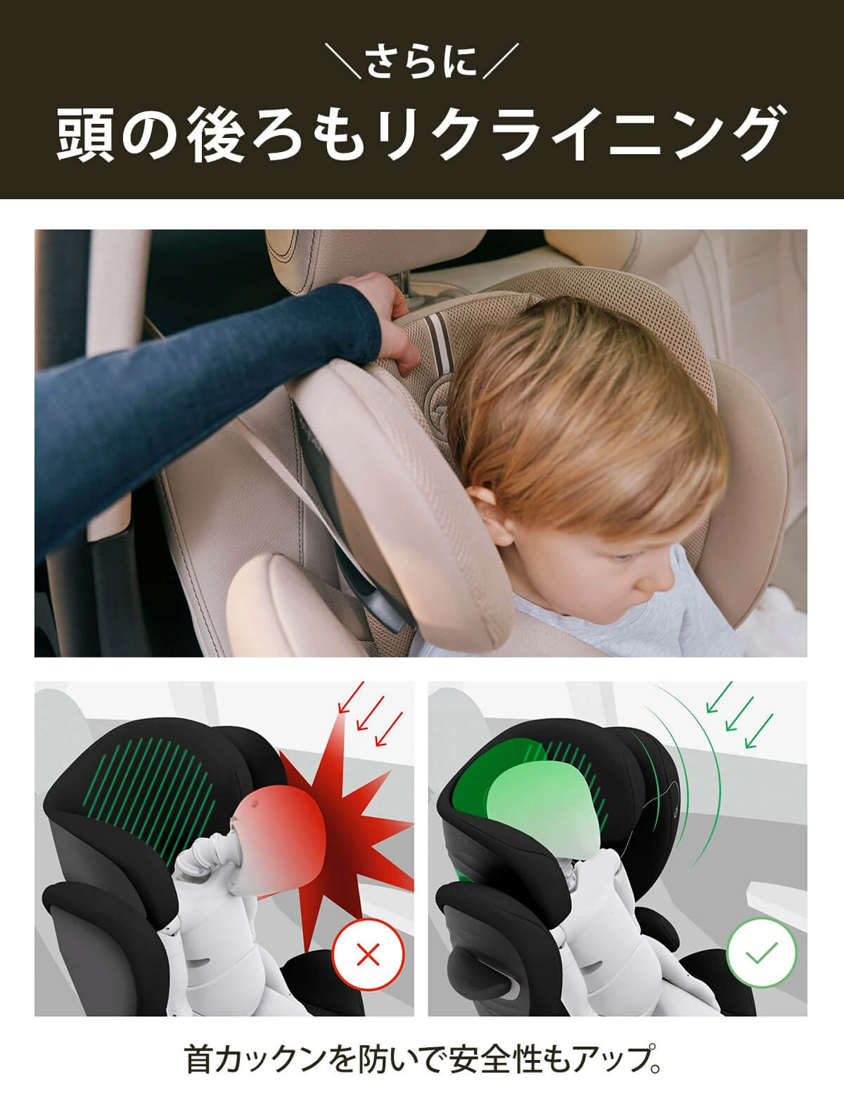 cybex ٥å 塼T եå / ԥ֥åץ饹