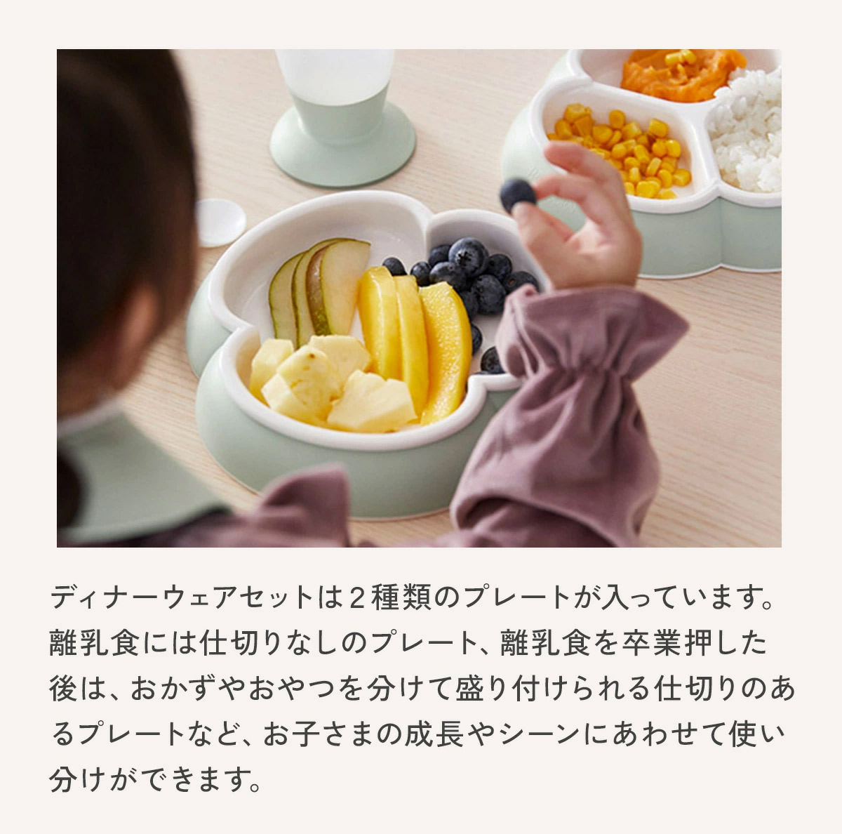 BabyBjorn �٥ӡ��ӥ��� �ǥ��ʡ����������å� / �ѥ��������꡼��