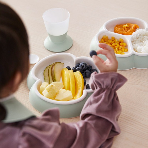 BabyBjorn �٥ӡ��ӥ��� �ǥ��ʡ����������å� / �ѥ��������꡼��