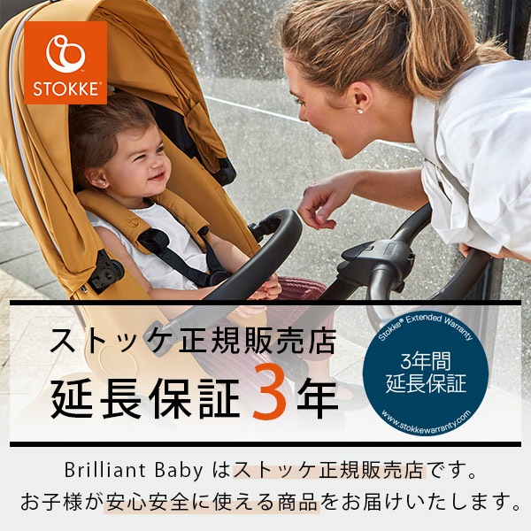 STOKKE ストッケ エクスプローリーX ＋ キャリーコット セット 