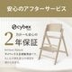 cybex �����٥å��� ����å����ե������ 3-IN-1 / �����˥󥰥֥�å��ʥ���å����ե������ �������ܥ٥ӡ����åȡܥ��ʥå��ȥ쥤��