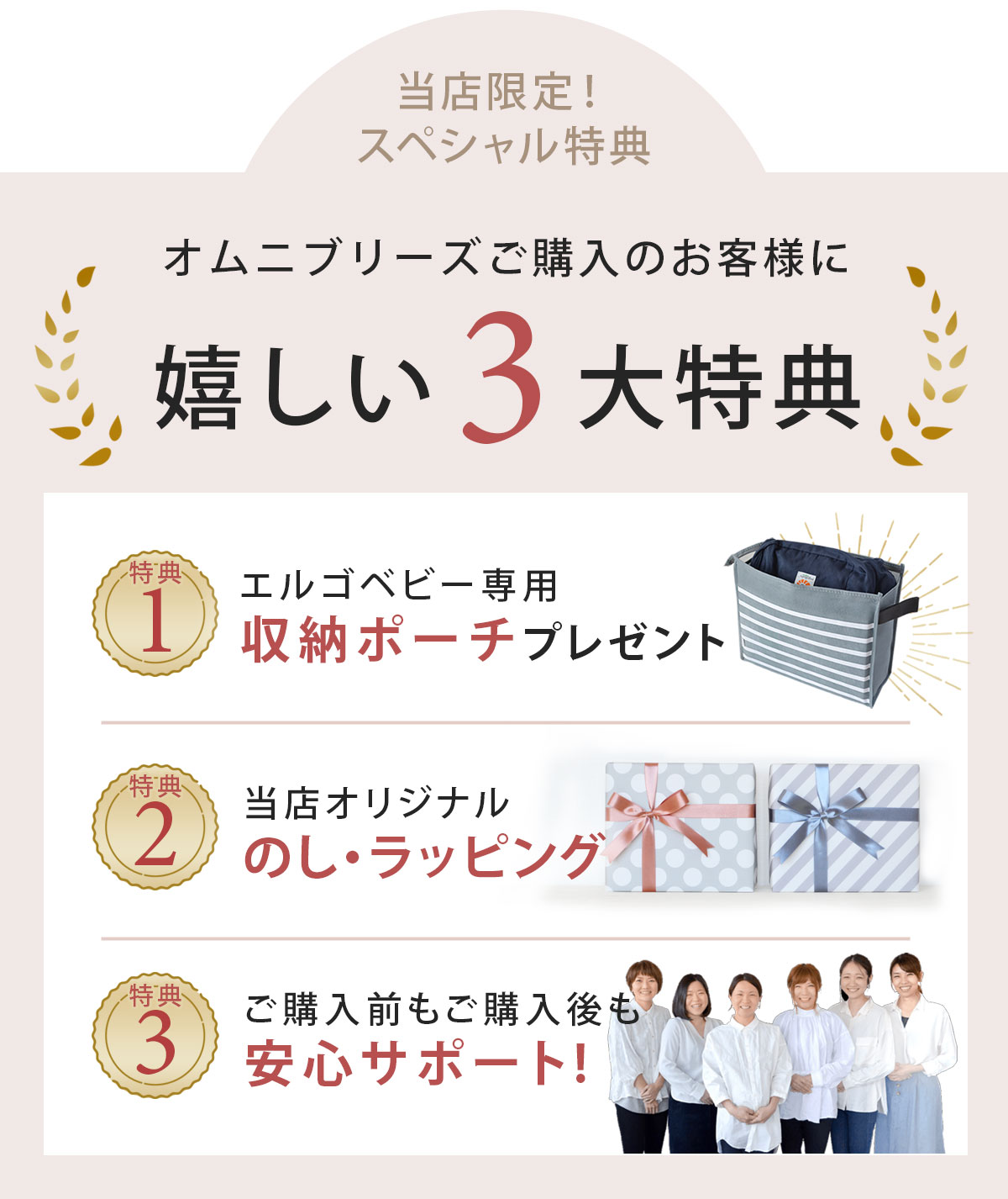 ErgoBabyCarrier SG ����� �֥꡼�� / �ߥåɥʥ��ȥ֥롼